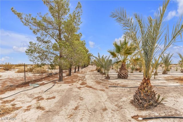 2253 North Saddleback Drive, Amargosa Valley, NV 89020