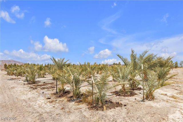 2253 North Saddleback Drive, Amargosa Valley, NV 89020