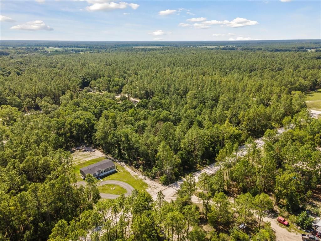 TBD NW 16TH AVENUE, Bell, FL 32619