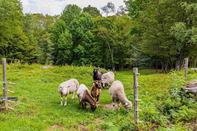 157 Dartt Hill Road, Bethel, VT 05032