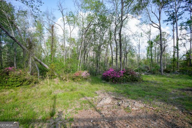 580 Limestone Street, Mount Vernon, GA 30445