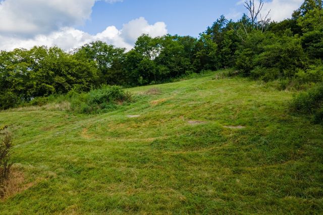 193 Dixon Ln, Pleasant Shade, TN 37145