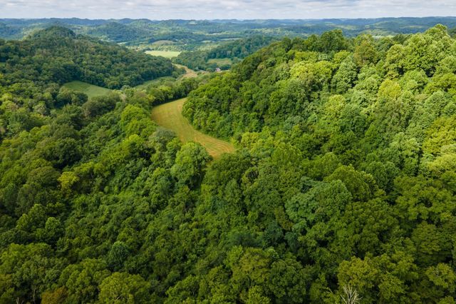 193 Dixon Ln, Pleasant Shade, TN 37145