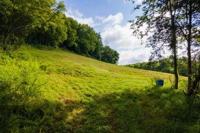 193 Dixon Ln, Pleasant Shade, TN 37145