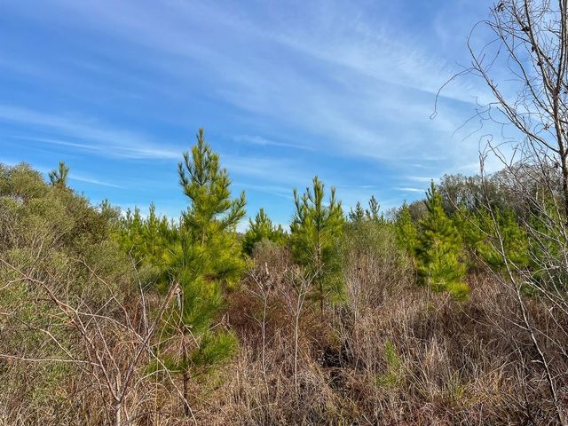 T-8 Tall Cotton Road, Saratoga, TX 77585