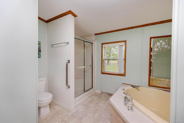 13301 Elms Road, Birch Run Twp, MI 48415