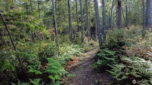 230 E Blackberry Lane, Union, WA 98592