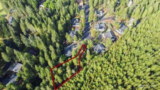230 E Blackberry Lane, Union, WA 98592