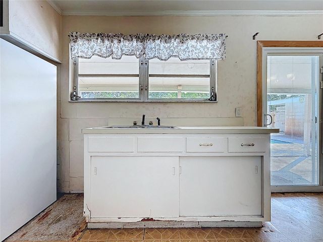 17902 BURNSIDE ROAD, Lutz, FL 33548