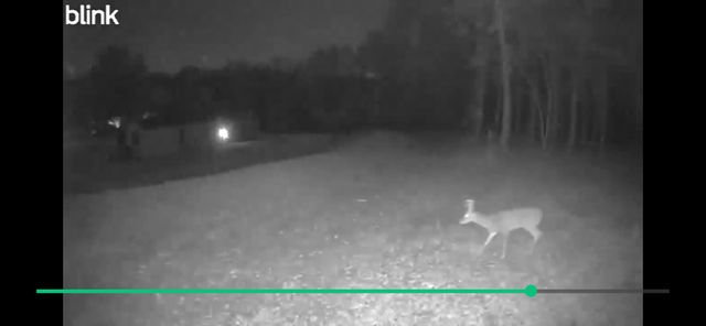 23264 Lawrence 2230, Aurora, MO 65605