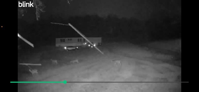 23264 Lawrence 2230, Aurora, MO 65605