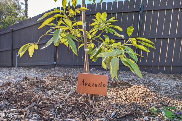 1195 Rancho Court, Ojai, CA 93023