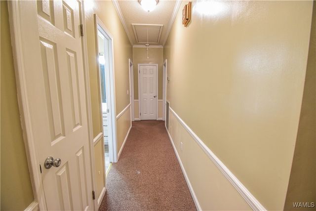 4911 Dove Creek, Northport, AL 35473