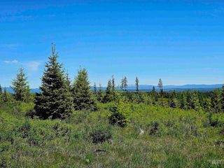 NNA Timberline Heights, Parcel 3, Weippe, ID 83553