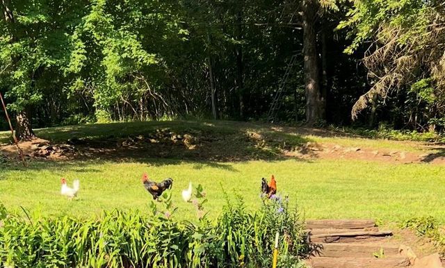S9220 Hillview Road, Fall Creek, WI 54742