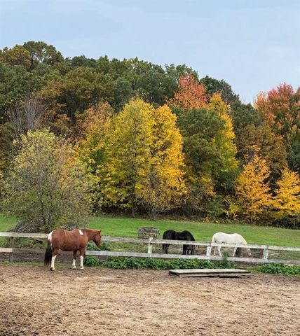 S9220 Hillview Road, Fall Creek, WI 54742