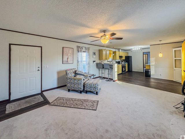 11112 State Route 131, Symsonia, KY 42082