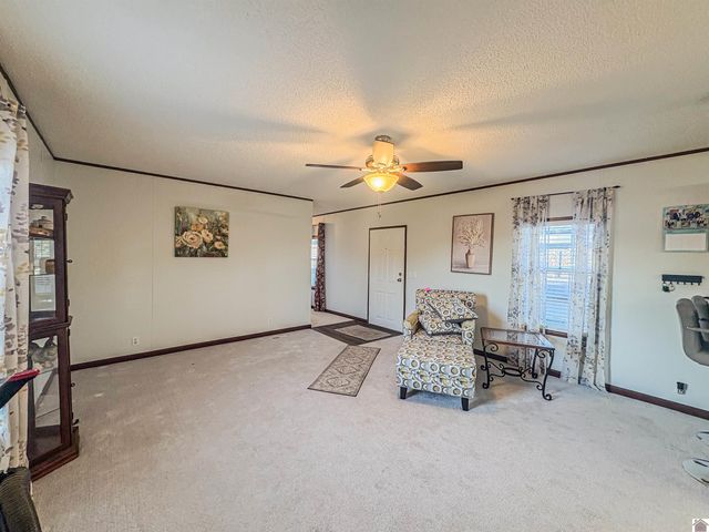 11112 State Route 131, Symsonia, KY 42082