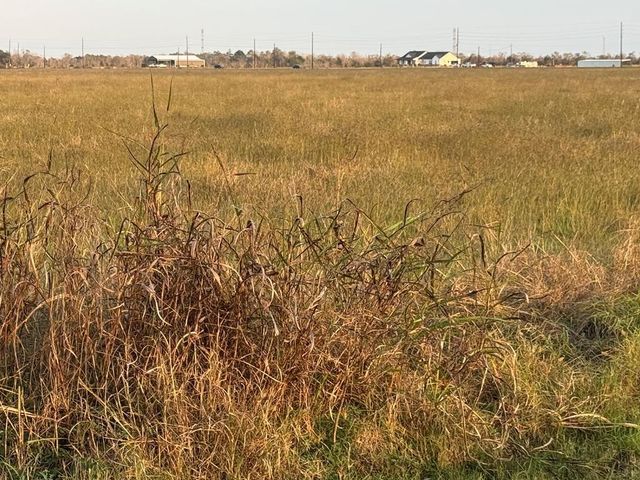 25 ACRES County Road 45, Angleton, TX 77515