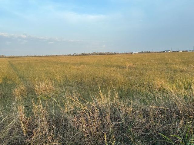 25 ACRES County Road 45, Angleton, TX 77515