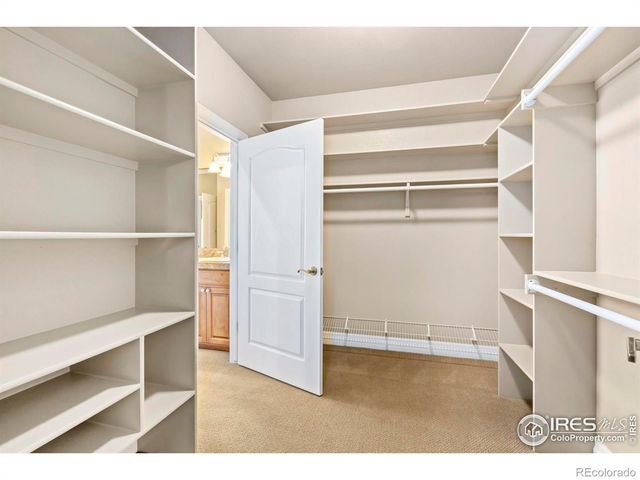 975 Norway Maple Drive, Loveland, CO 80538