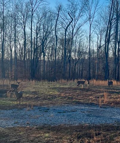 1147 Tonya Trl, Cumberland Furnace, TN 37051