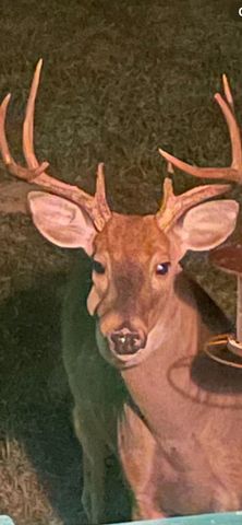 1147 Tonya Trl, Cumberland Furnace, TN 37051