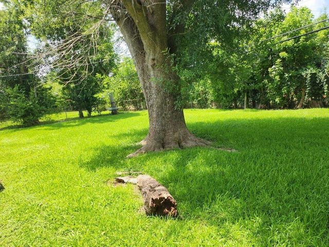 5535 Flamingo Drive, Houston, TX 77033