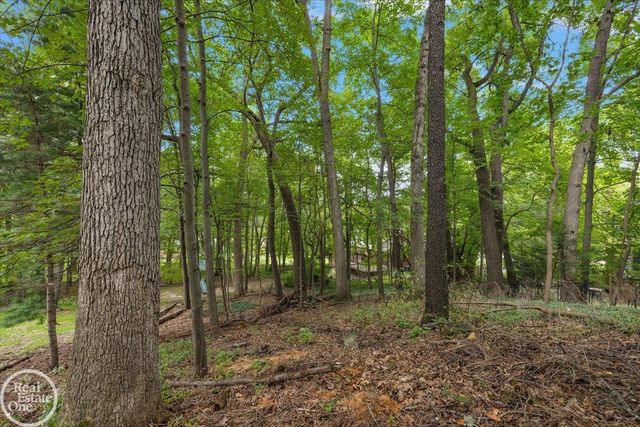 523 Ridgewood Road, Rochester, MI 48306
