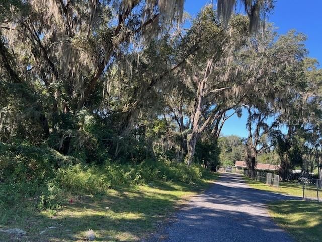 000 NW 27TH AVENUE, Citra, FL 32113