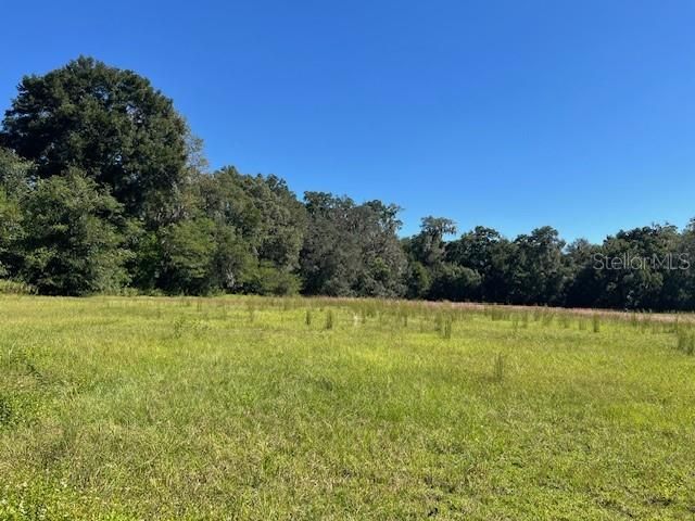 000 NW 27TH AVENUE, Citra, FL 32113