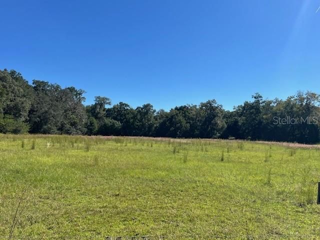 000 NW 27TH AVENUE, Citra, FL 32113