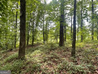 0 Dowdy Road, Roopville, GA 30170