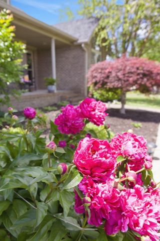 155 Clay Avenue, Lancaster, KY 40444
