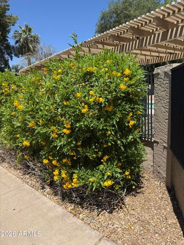 4810 W Manzanita Drive, Glendale, AZ 85302