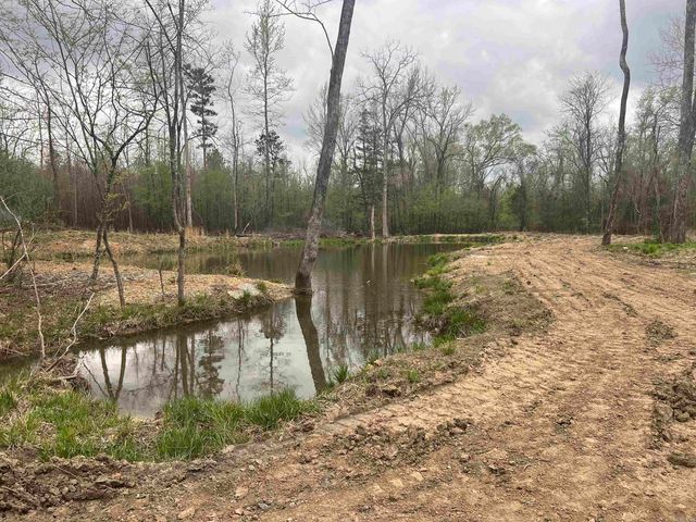 693 Little Blakely Creek Road, Jessieville, AR 71949