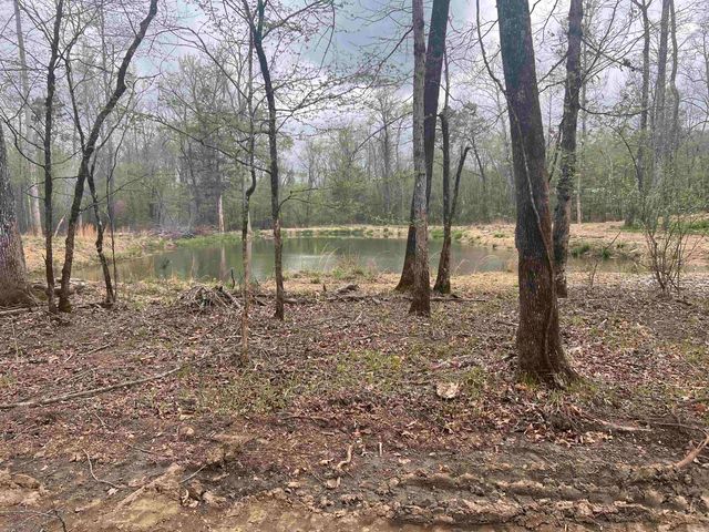 693 Little Blakely Creek Road, Jessieville, AR 71949