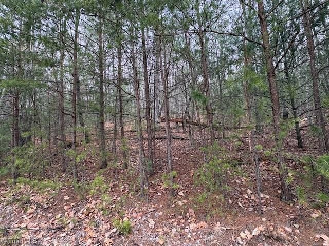 TBD Sutters Ridge Road, Mcgrady, NC 28649