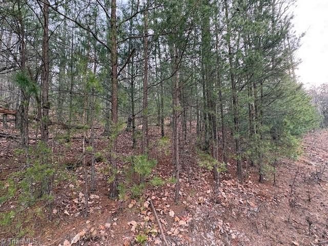 TBD Sutters Ridge Road, Mcgrady, NC 28649
