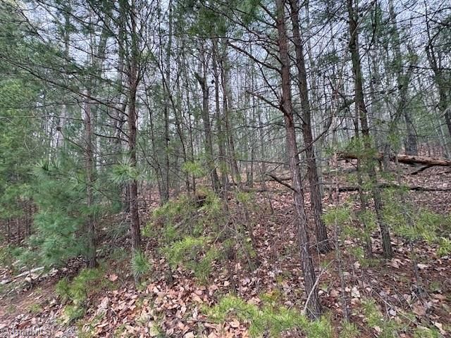 TBD Sutters Ridge Road, Mcgrady, NC 28649