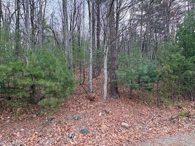 TBD Sutters Ridge Road, Mcgrady, NC 28649