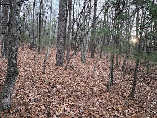 TBD Sutters Ridge Road, Mcgrady, NC 28649