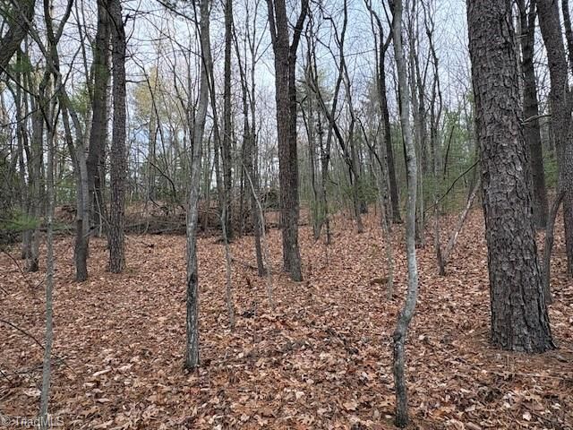 TBD Sutters Ridge Road, Mcgrady, NC 28649