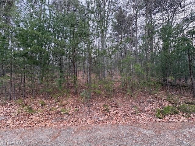 TBD Sutters Ridge Road, Mcgrady, NC 28649