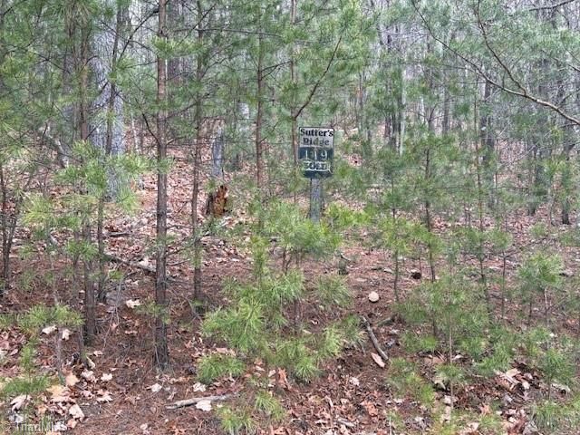 TBD Sutters Ridge Road, Mcgrady, NC 28649