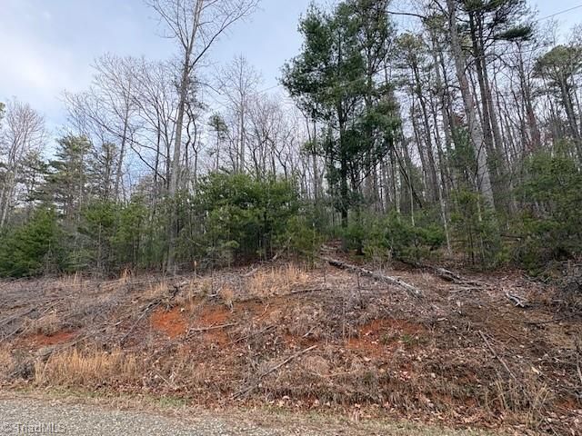TBD Sutters Ridge Road, Mcgrady, NC 28649