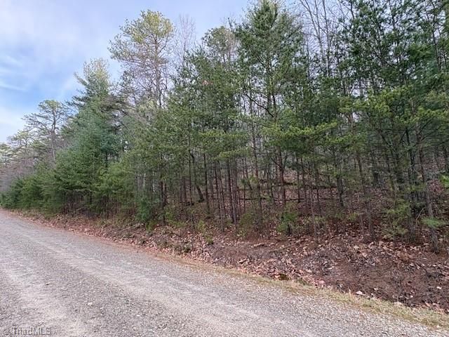 TBD Sutters Ridge Road, Mcgrady, NC 28649