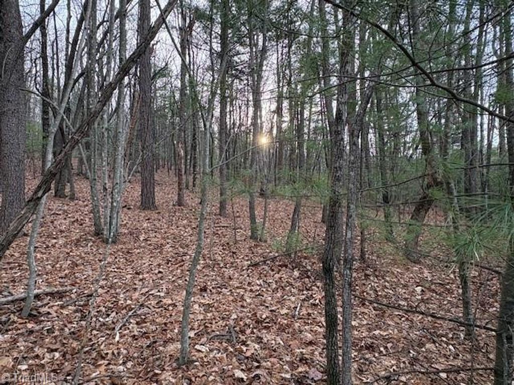 TBD Sutters Ridge Road, Mcgrady, NC 28649