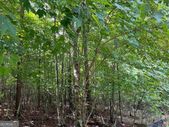 LOT 187 Northshore Drive, Cleveland, GA 30528