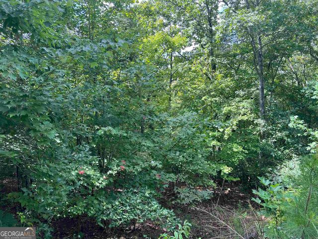 LOT 187 Northshore Drive, Cleveland, GA 30528